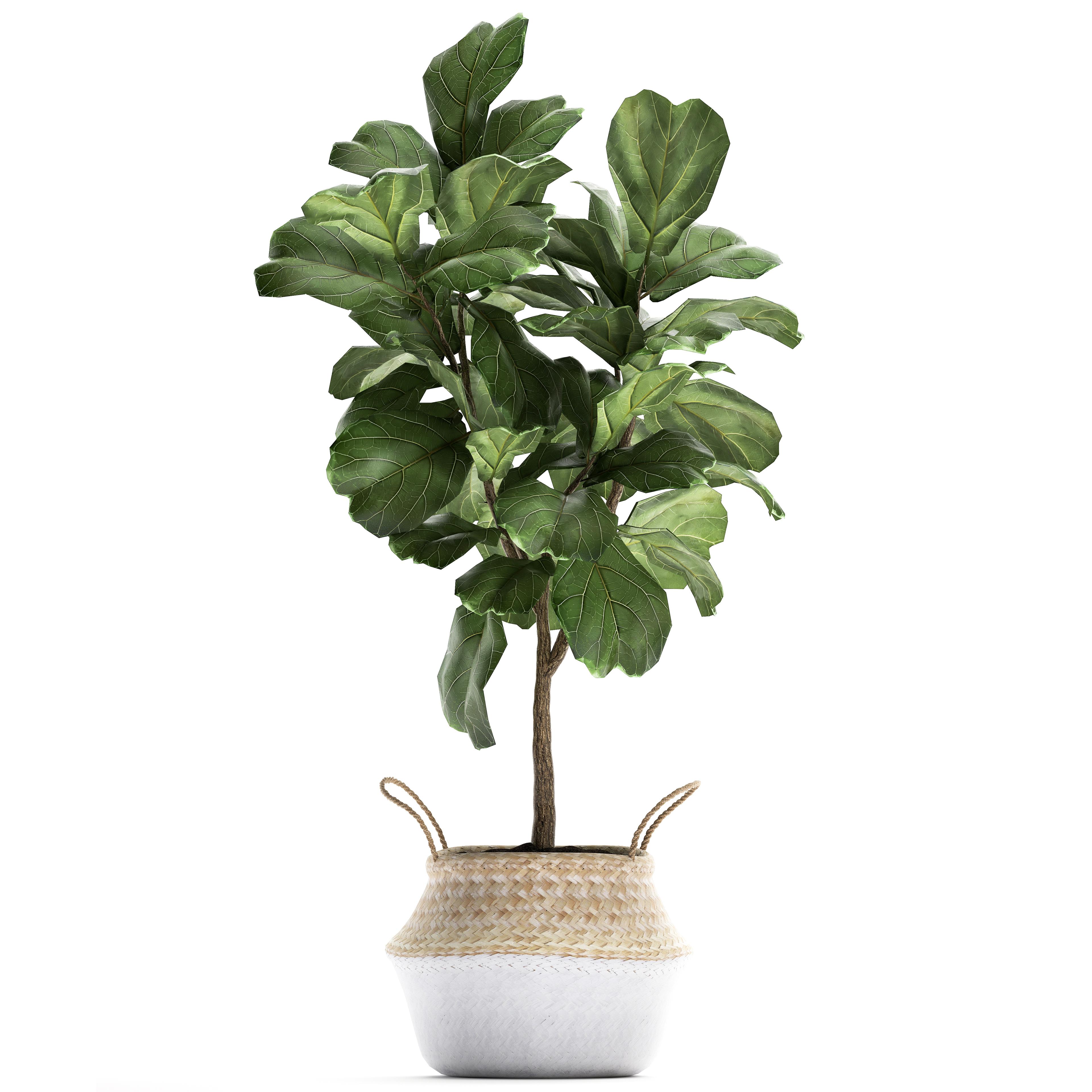 Indoor Jute Planter